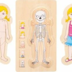 Small Foot Company Small Foot - Layer Puzzle Anatomy Girl -Duurzamer-speelgoed Winkel 550x255 1