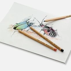 Pastelpotlood Faber-Castell Pitt 3 Stuks Op Blister FC-112797 -Duurzamer-speelgoed Winkel 550x367 11