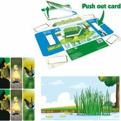 BioBuddi - Animal Planet - Frog (BB-0208) -Duurzamer-speelgoed Winkel 550x534 8