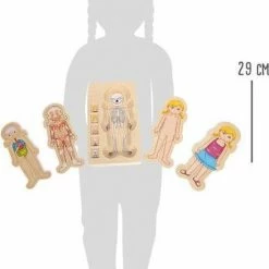 Small Foot Company Small Foot - Layer Puzzle Anatomy Girl -Duurzamer-speelgoed Winkel 550x709 3