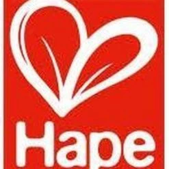 Hape Magisches Touch Xylophon | E11883 -Duurzamer-speelgoed Winkel 550x743